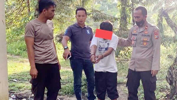 Kapolsek Kelapa Polres Bangka Barat memimpin langsung penangkapan pelaku pencabulan anak tiri di kediamannya, Sabtu 7 Nopember 2020.