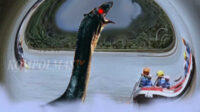 Temuan makhluk seukuran Gaban di tengah alur Sungai Bengkenang, diduga adalah jelmaan monster ular yang telah bermetamorfosa