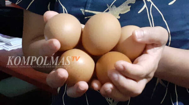 Salah satu KPM BPNT menunjukkan telur ayam ras yang diterimanya dari e-warong. Kesenjangan harga signifikan antara e-warong dan pasaran umum, mengindikasikan ketidakberesan dan patut disorot aparat penegak hukum