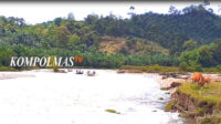 Taman Matai, salah satu destinasi wisata tersembunyi di Desa Durian Seginim, terletak persis di pertigaan Air Nipis-Sungai Bengkenang