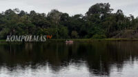 Danau Kawutan Serunting di pusat kawasan Ekowisata Serunting menjadi rumah besar bagi ribuan bangau dan belibis