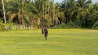 Pemeliharaan rutin lapangan sepak bola di lokasi Stadion Pangeran Moekmin, Desa Durian Seginim