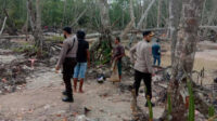 Razia penertiban tambang timah ilegal di Desa Belo Laut
