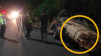 Pickup tabrak pemotor hingga tewas, kayu ilegal muatannya jadi sorotan